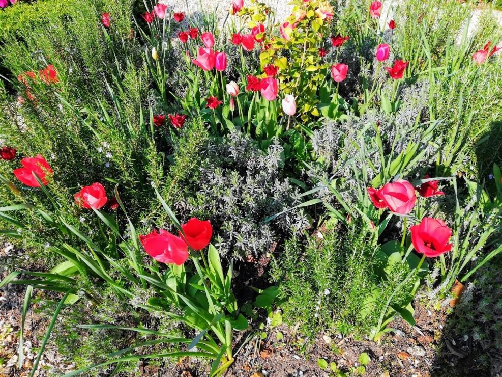Le Domaine Des Platanes Bed & Breakfast Bourg-Charente Luaran gambar