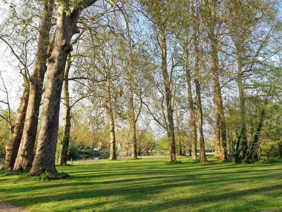 Le Domaine Des Platanes Bed & Breakfast Bourg-Charente Luaran gambar