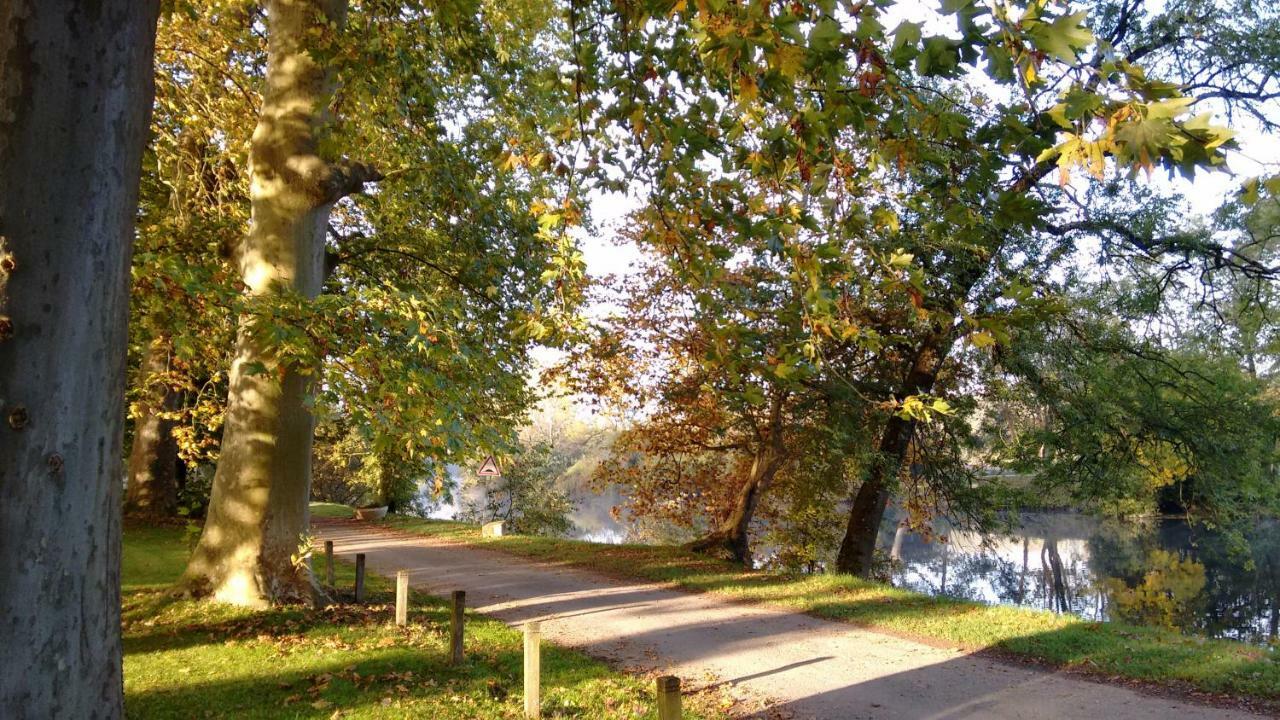 Le Domaine Des Platanes Bed & Breakfast Bourg-Charente Luaran gambar