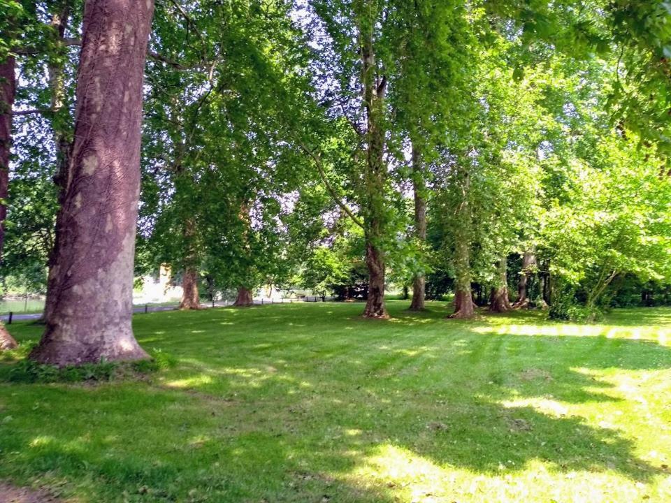 Le Domaine Des Platanes Bed & Breakfast Bourg-Charente Luaran gambar