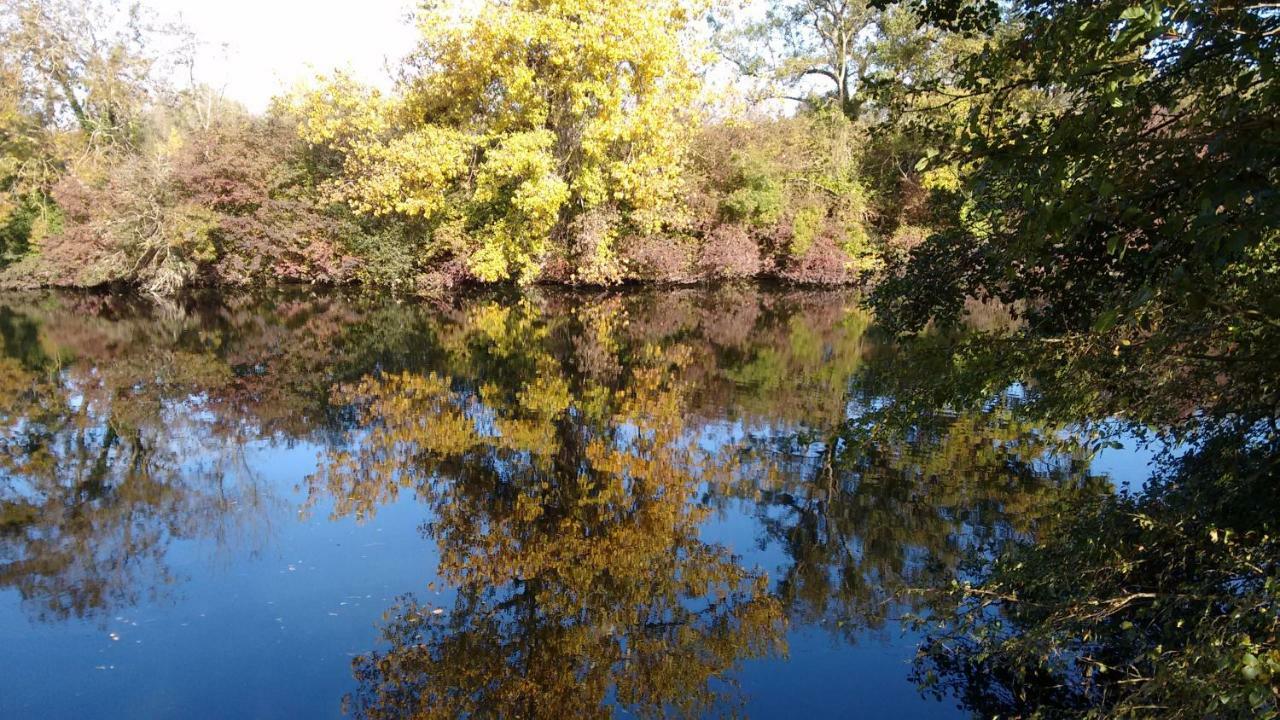 Le Domaine Des Platanes Bed & Breakfast Bourg-Charente Luaran gambar